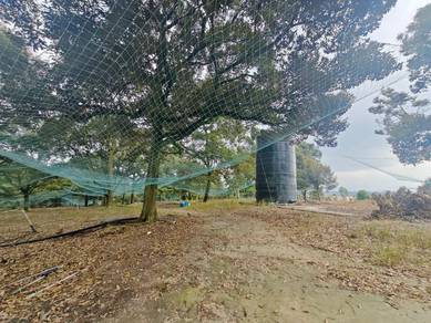 Tangkak Durian Agriculture Land Most Old Duirian Tree And With Hostel