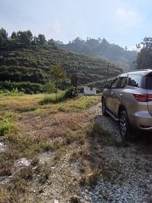 NON BUMI DURIAN Orchard at Bentong FOR SALE