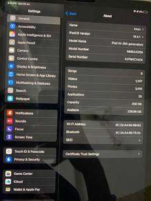 Ipad Air 5 256GB wifi