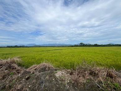Tanah Untuk Dijual