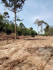 Tanah Dusun Untuk Dijual Kg. Bendang Dalam , Merbuk Kedah