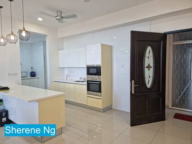 Olive Tree for sale | ready to move in