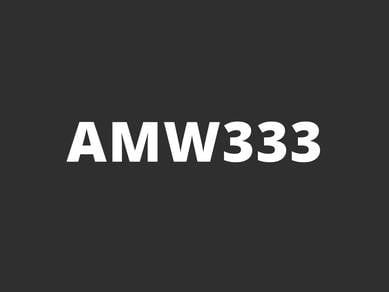 AMW333