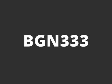 BGN333