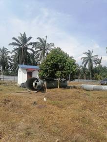 Durian farm, Linggi