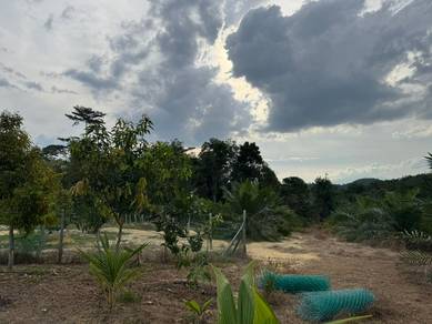 [JualCepat] Tanah Pertanian Freehold 3.9 ekar Kuala Kangsar Sayung
