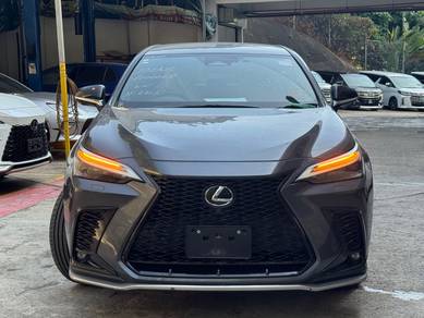 Lexus NX 350 2.4T F SPORT (A)GREY COLOUR