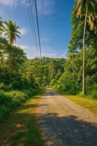 Freehold Land for Sale – Jalan Pondok Upeh, Balik Pulau, Pulau Pinang