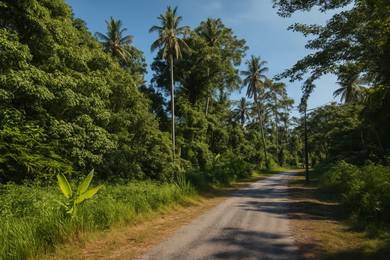 Freehold Land for Sale – Jalan Pondok Upeh, Balik Pulau, Pulau Pinang