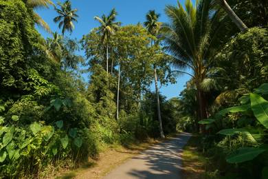 Freehold Land for Sale – Jalan Pondok Upeh, Balik Pulau, Pulau Pinang
