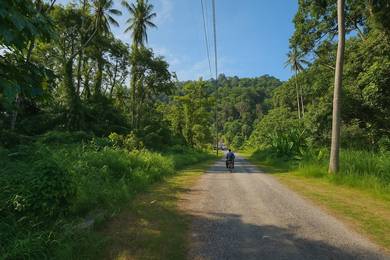 Freehold Land for Sale – Jalan Pondok Upeh, Balik Pulau, Pulau Pinang