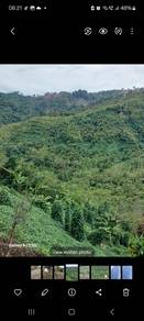 Nt land 5 acre kg garas tambunan