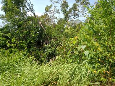 Dong Raub Vacant Land