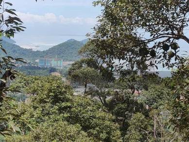Teluk Kumbar 11900 Penang