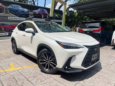 Lexus NX 250 VERSION-L ( 13K KM / 5A GRADE )