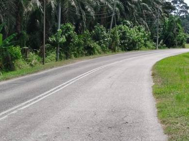 11.45ac TEPI JALAN BESAR 🌹roadfrontage❤️JLN BRUAS SUNGAI TINGGI TPG