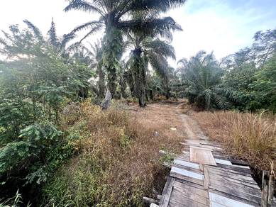 Agriculture Land at Ulu Tinggi