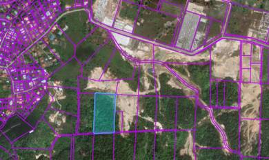Sand Hill Land Lusut Lambir Miri