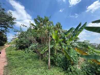1.66 acres Agricultural Land Jalan Rembia Cemerlang Alor Gajah Melaka