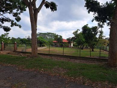 Agricultural-Land-for-sale-Kuala-Linggi-Melaka