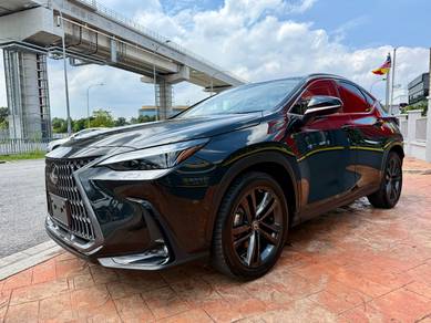 Lexus NX250 2.5 LUXURY PANROOF FULL SPEC UNRG