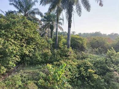 Gopeng - Agriculture Land - 3 acres - Freehold 