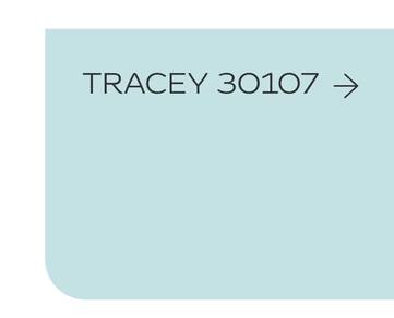 5L Dulux wash & wear interior paint(Tracey)
