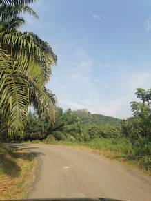 1 acres, Linggi, Exevalley, Kundur hilir