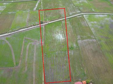 Below Market Land Seberang Perai Tengah Development Land