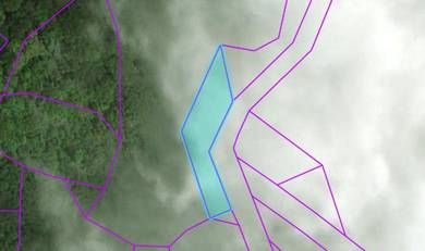 Freehold Agriculture Land Bekenu