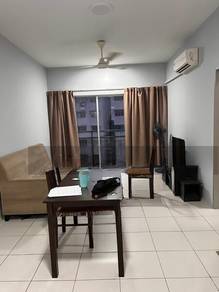 Platinium teratai for rent