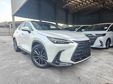 Lexus NX 250 LUXURY P/Roof 4Cam DIM HUD P/B