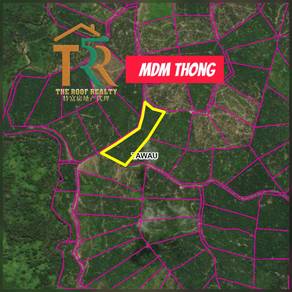 Oil palm | 15 acres | for sale