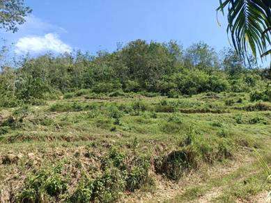 Sungai Siput PERLOP 1, Perak (8.2acre)