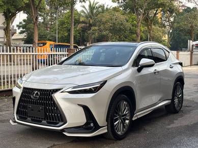 Lexus NX 250 2.5 LUXURY*GRADE 5A*BODYKIT*HUD