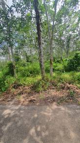 Tanah kebun getah Pokok sena kedah