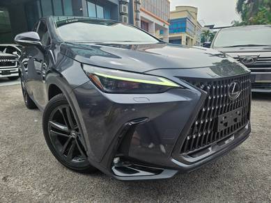Lexus NX 250 2.5 LUXURY/PANROOF/5A