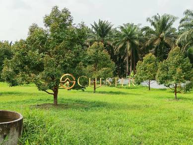 Agricultural Land Durian Farm Chamek Paloh 7.9 Acres