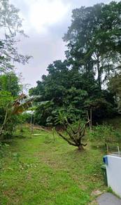 Detached Land At Nearby Crookshank Road & Bampfylde Road For Sale