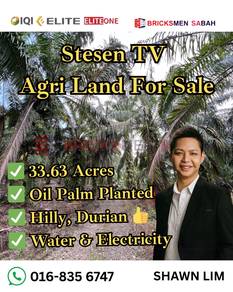 Tawau Agri Land For Sale (Suitable for Durian Plantation)