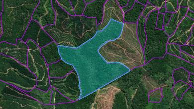 Freehold Native Area - Country Land @ Jakar Road, Sarikei.