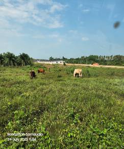 Residential-Land-for-sale-Merlimau-Melaka