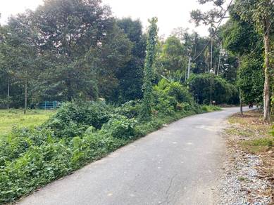MurahMurah‼️TANAH DUSUN UNTUK DI JUAL DI BATU KURAU SIAP POKOK DURIAN