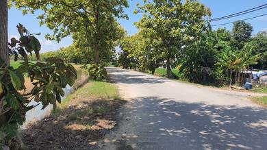 Tanah kuala Perlis