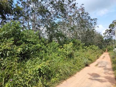 Tanah Getah MCL Sg Petai Alor Gajah