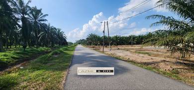 Freehold And Nonbumi Agricalture Land Want To Sell In Sri Gading BP