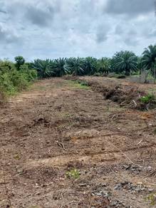 Lot tanah di Dungun