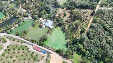 Hulu Langat non bumi durian farm with ponds with infra