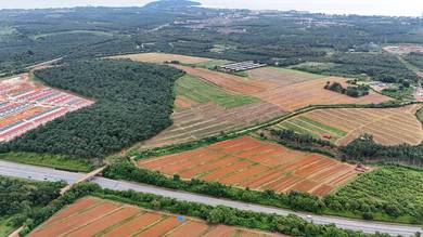 781 Acres Development Land @ Port Dickson