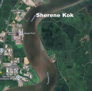 Agricultural Land @ Beliong next to river opposite Senari Port